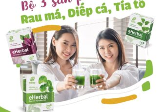 🌿💚 BỘT RAU eHERBAL – BỔ SUNG RAU XANH TINH KHIẾT, NHẸ NHÀNG MỖI NGÀY 💚🌿