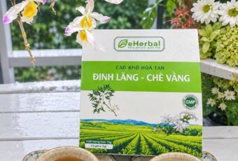 🌿 ĐINH LĂNG – CHÈ VẰNG | MỘT TÁCH TRÀ, MỘT KHOẢNH KHẮC THƯ THẢ