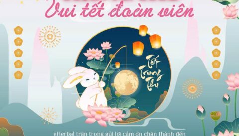 🏮 Ánh trăng Trung Thu tròn đầy, như lời chúc cho sự viên mãn, an lành và những mối gắn kết bền chặt. ❤️