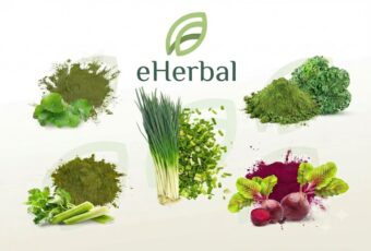 🌿 eHERBAL TÌM KIẾM ĐỐI TÁC DOANH NGHIỆP – CUNG ỨNG BỘT RAU CỦ QUẢ, KẾT NỐI HỢP TÁC SẢN XUẤT