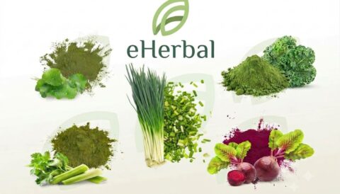 🌿 eHERBAL TÌM KIẾM ĐỐI TÁC DOANH NGHIỆP – CUNG ỨNG BỘT RAU CỦ QUẢ, KẾT NỐI HỢP TÁC SẢN XUẤT
