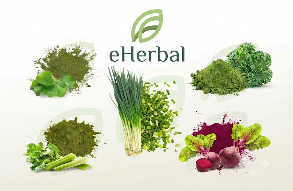 🌿 eHERBAL TÌM KIẾM ĐỐI TÁC DOANH NGHIỆP – CUNG ỨNG BỘT RAU CỦ QUẢ, KẾT NỐI HỢP TÁC SẢN XUẤT