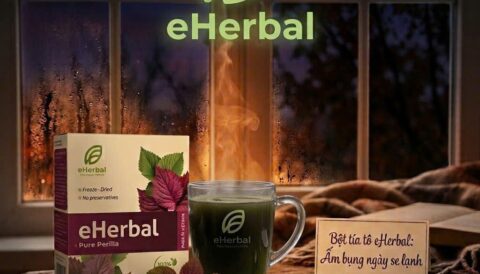 🍃 BỘT TÍA TÔ NGUYÊN CHẤT eHERBAL – GẦN GŨI VỚI THIÊN NHIÊN 🍃