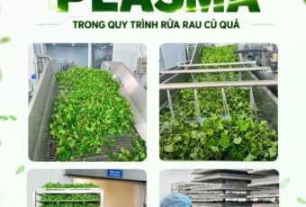 🔥EHERBAL TIÊN PHONG ỨNG DỤNG ‘CÔNG NGHỆ PLASMA’ TRONG QUY TRÌNH RỬA RAU CỦ.