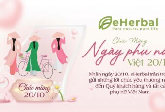 🌸 CHÚC MỪNG NGÀY PHỤ NỮ VIỆT NAM 20/10 🌸