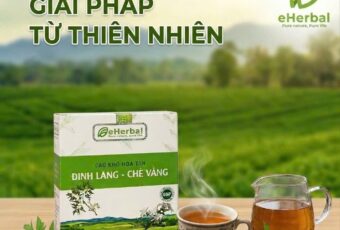 🌿 ĐINH LĂNG – CHÈ VẰNG eHERBAL !!!