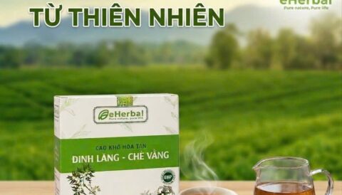 🌿 ĐINH LĂNG – CHÈ VẰNG eHERBAL !!!